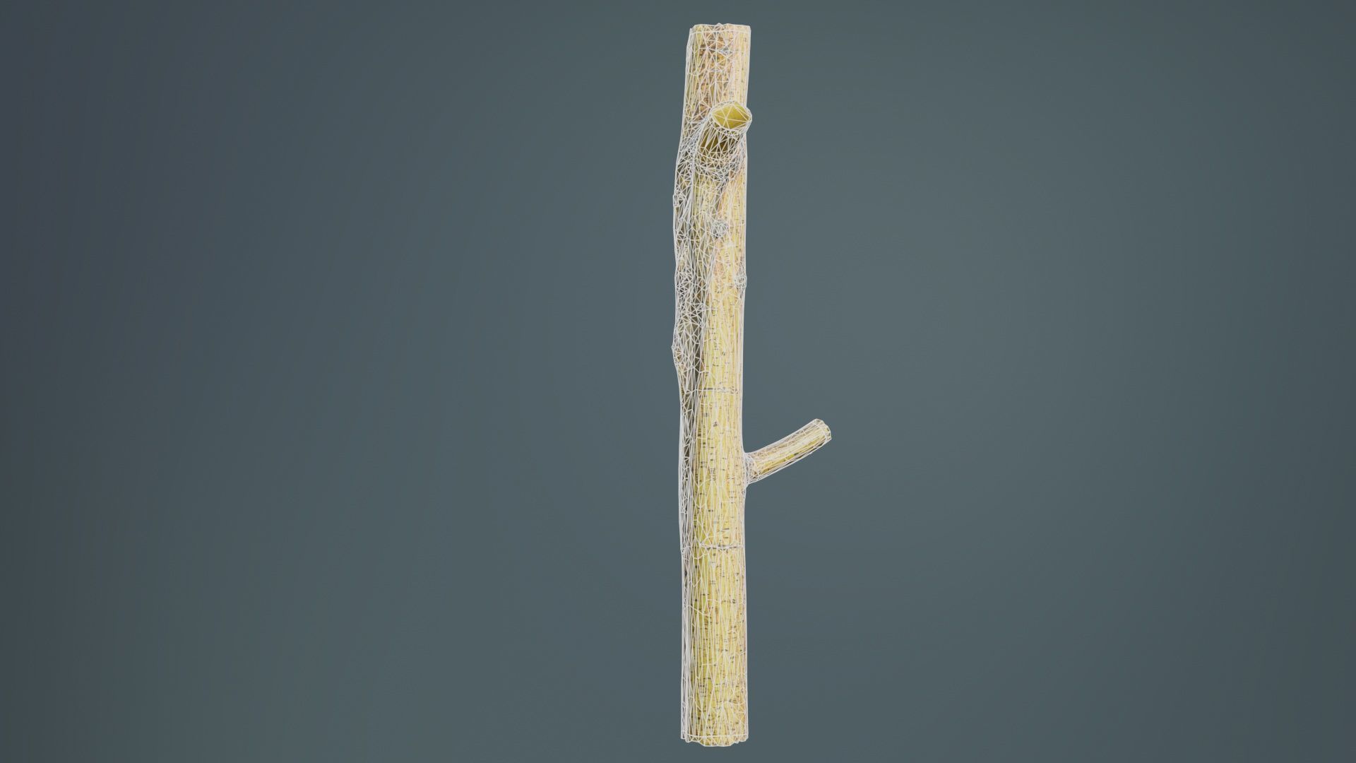 Little Yellow Branch Low-poly 3D model_10