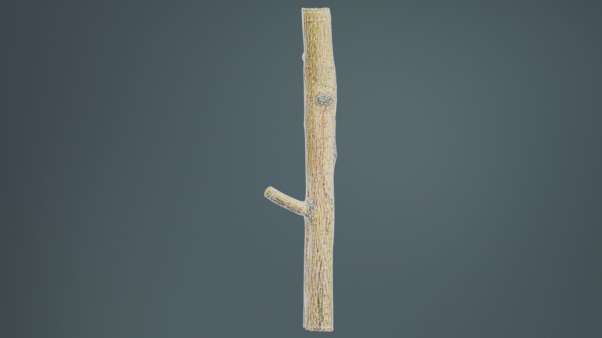 Little Yellow Branch Low-poly 3D model_9