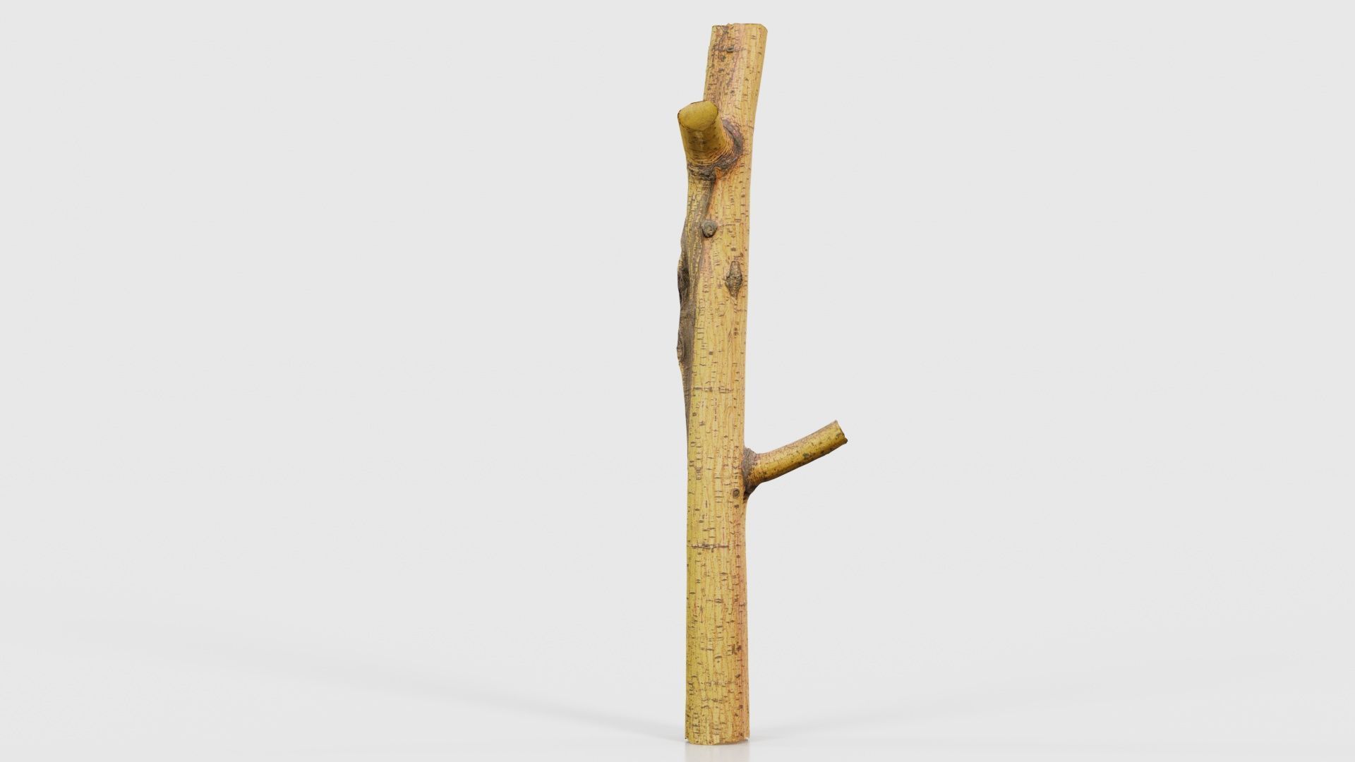 Little Yellow Branch Low-poly 3D model_20