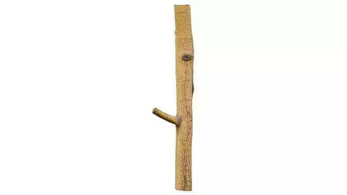 Little Yellow Branch