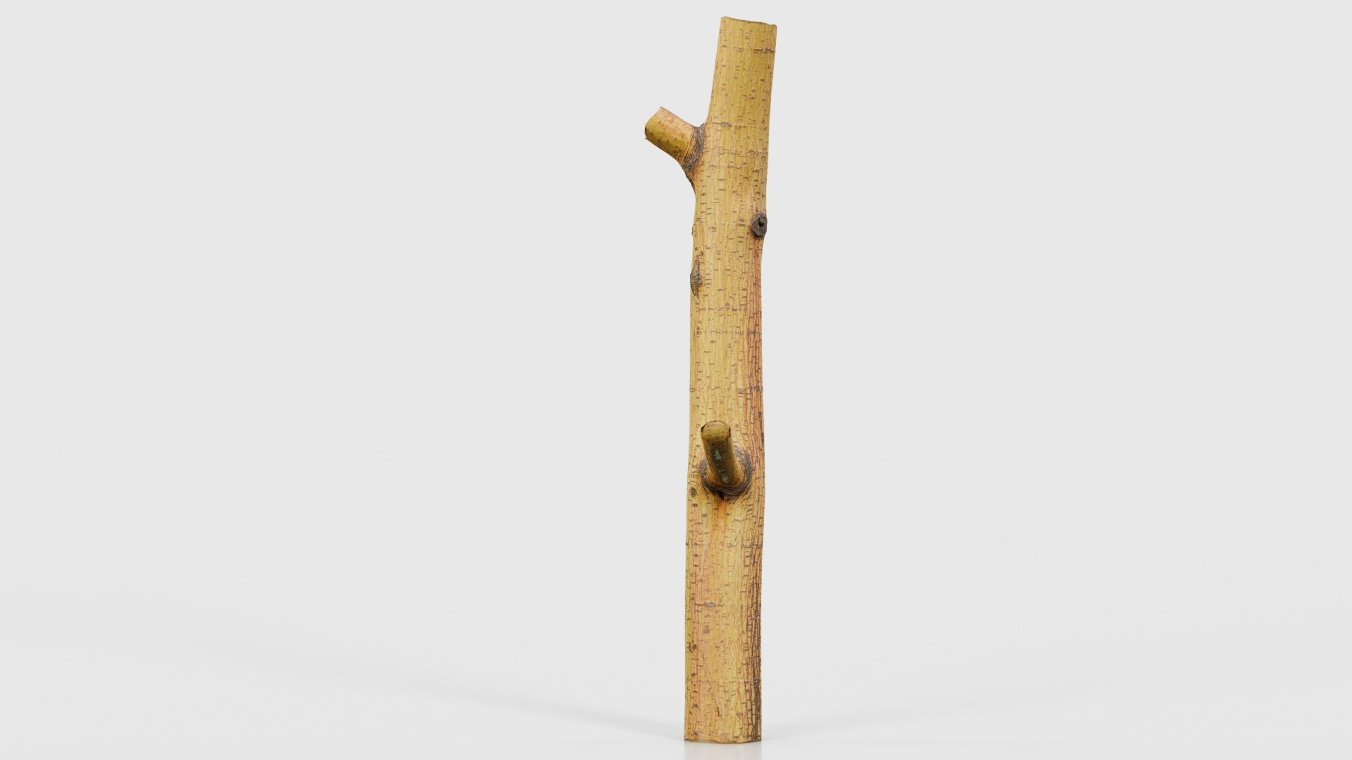 Little Yellow Branch Low-poly 3D model_17