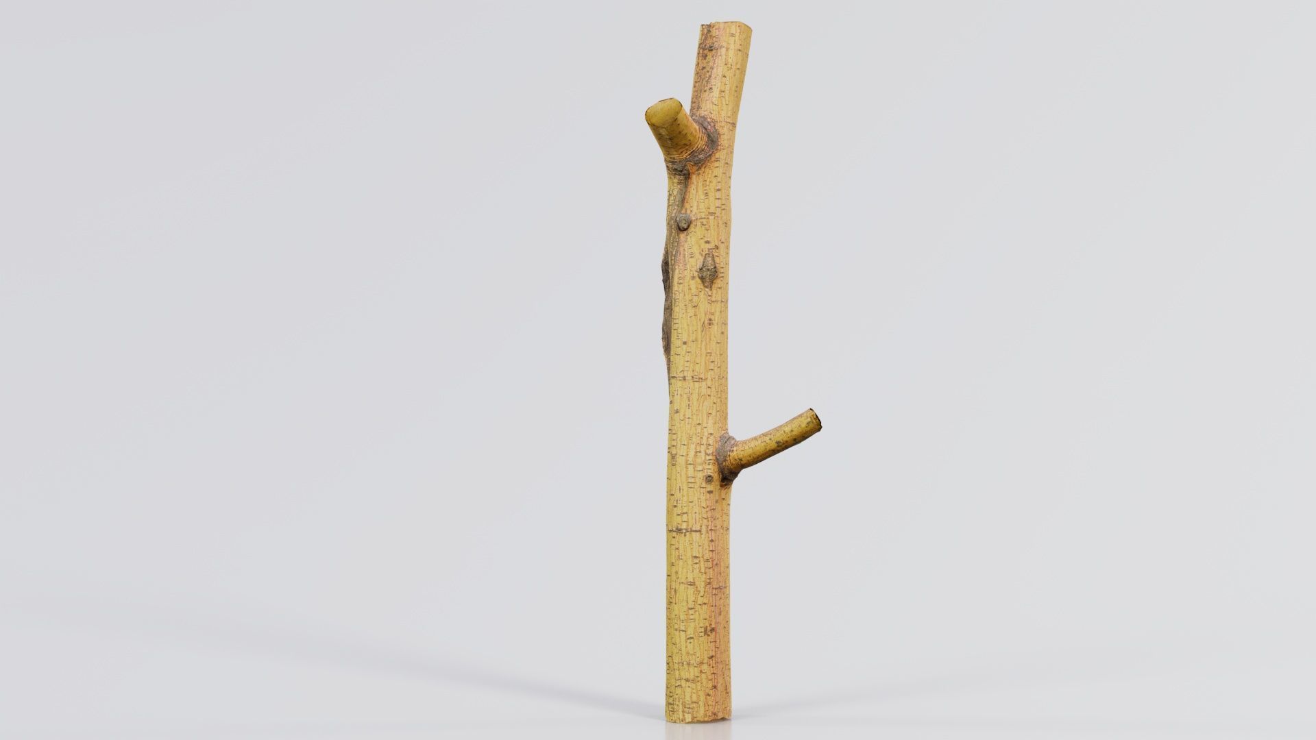 Little Yellow Branch Low-poly 3D model_5