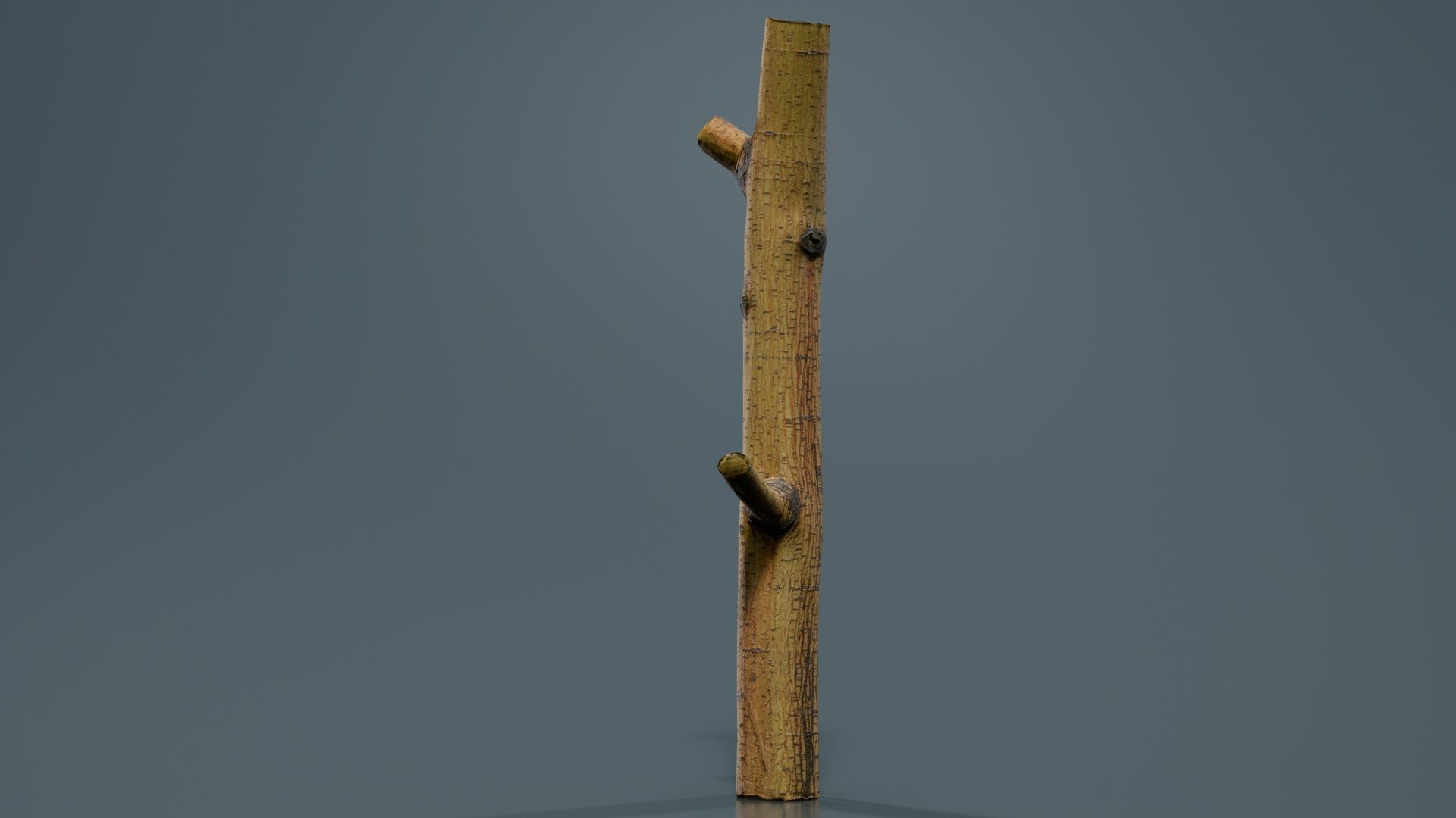 Little Yellow Branch Low-poly 3D model_2