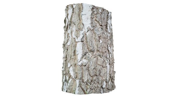 Paper Bark Low-poly 3D model