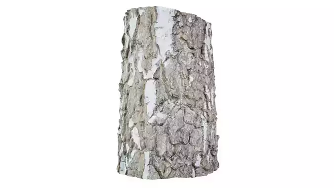 Paper Bark