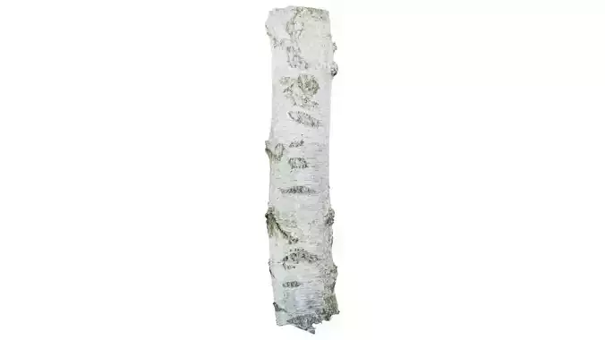 Paper Moss Tree Bark Low-poly 3D model