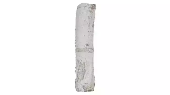Paper Skin Bark Low-poly 3D model