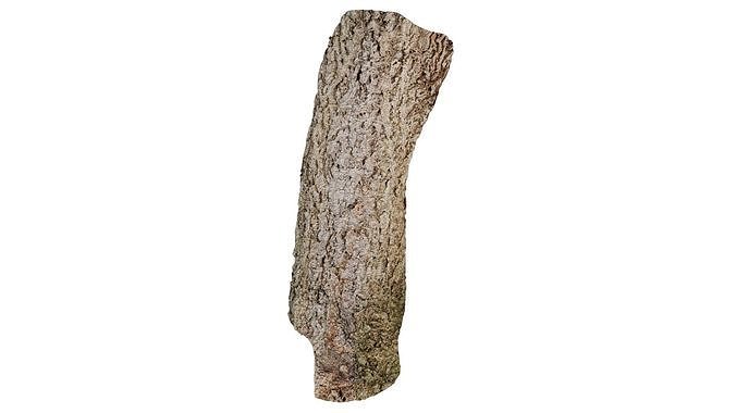 River Bark Low-poly 3D model