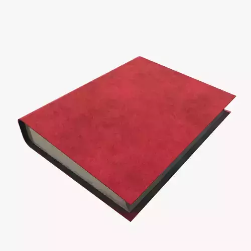 Medieval Book V19
