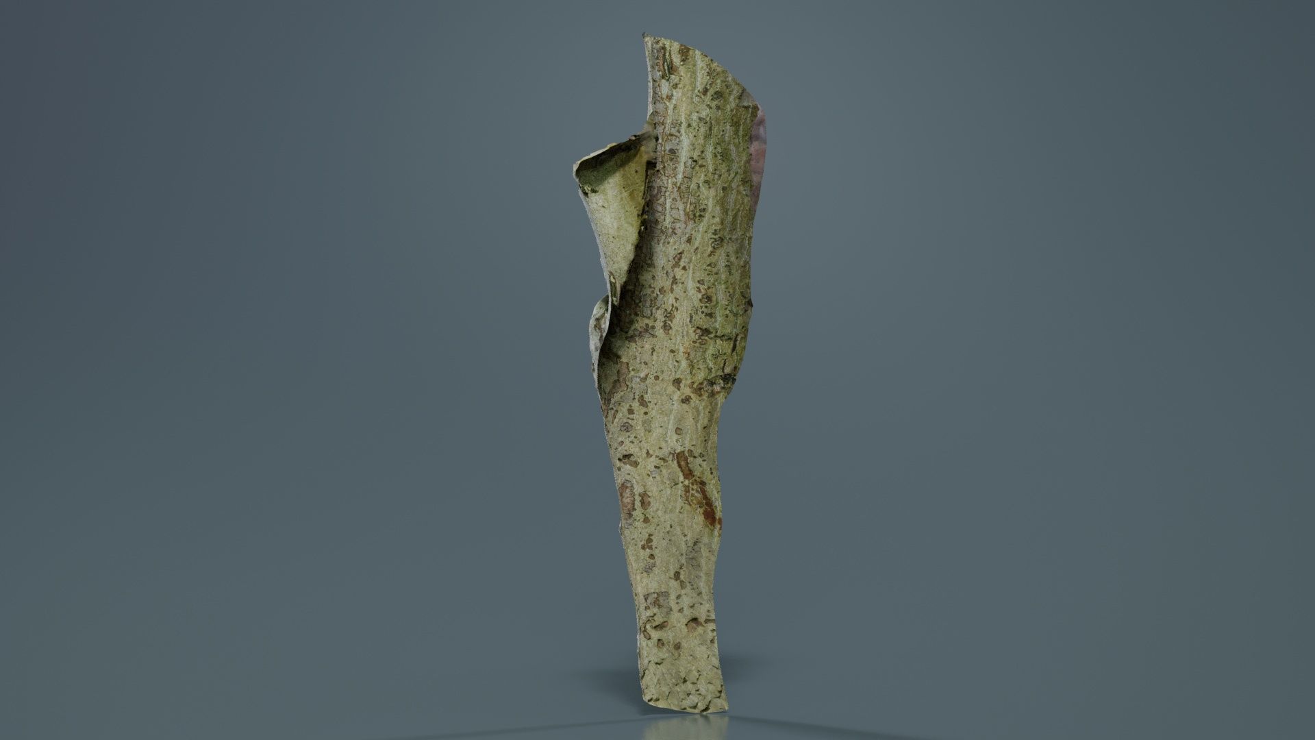 Small Branch Low-poly 3D model_2