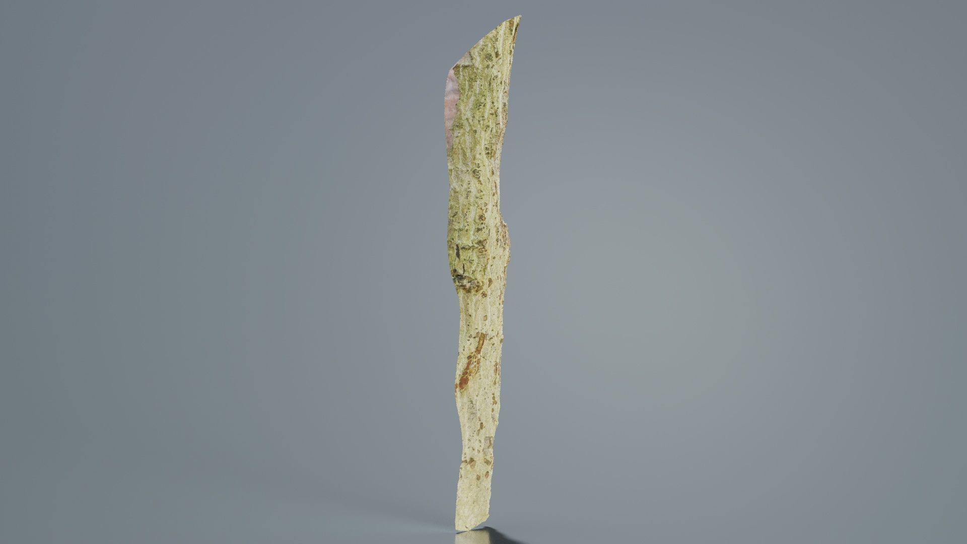 Small Branch Low-poly 3D model_1