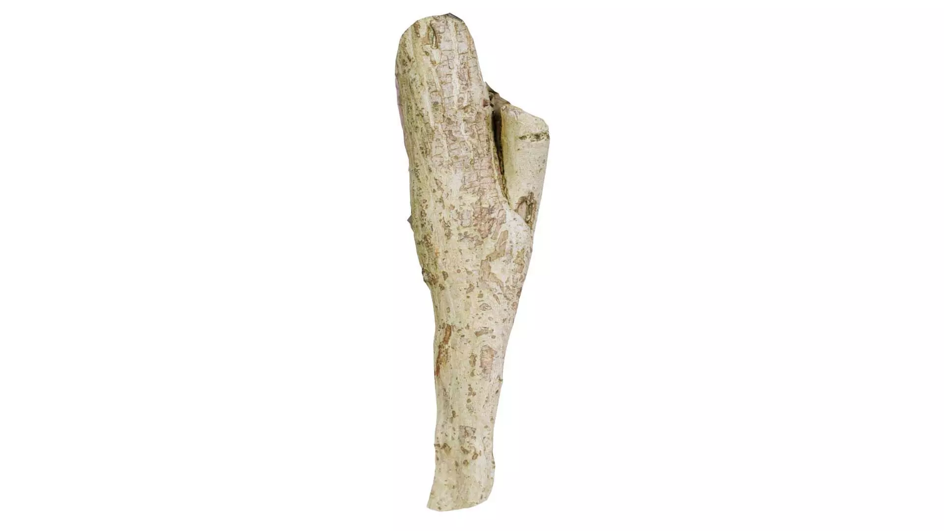 Small Branch Low-poly 3D model_0