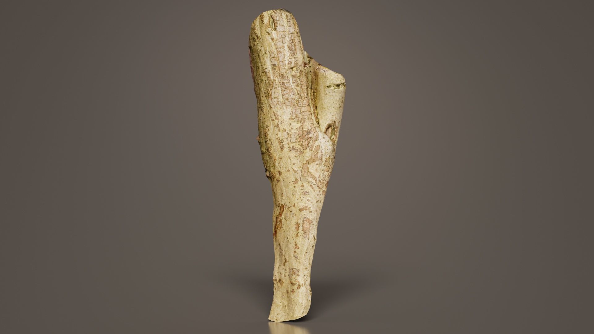 Small Branch Low-poly 3D model_8