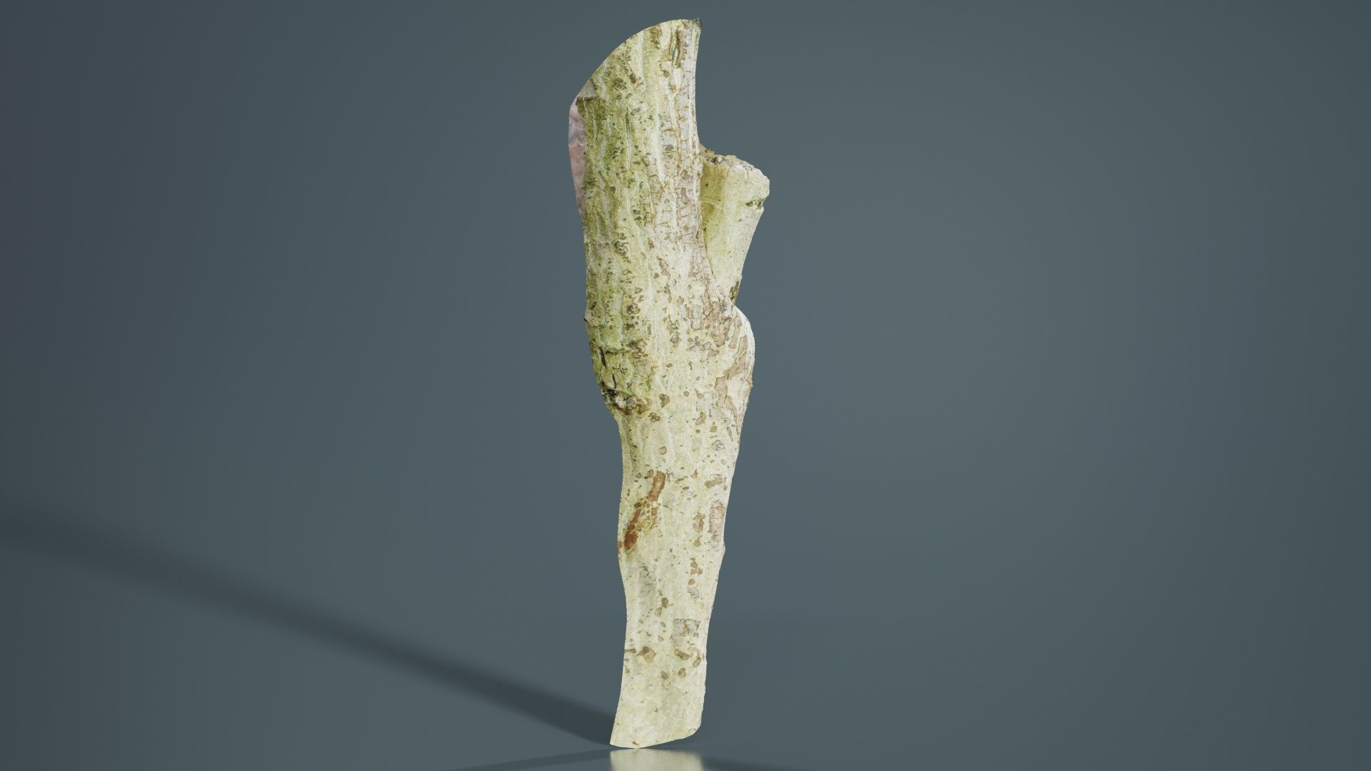 Small Branch Low-poly 3D model_3