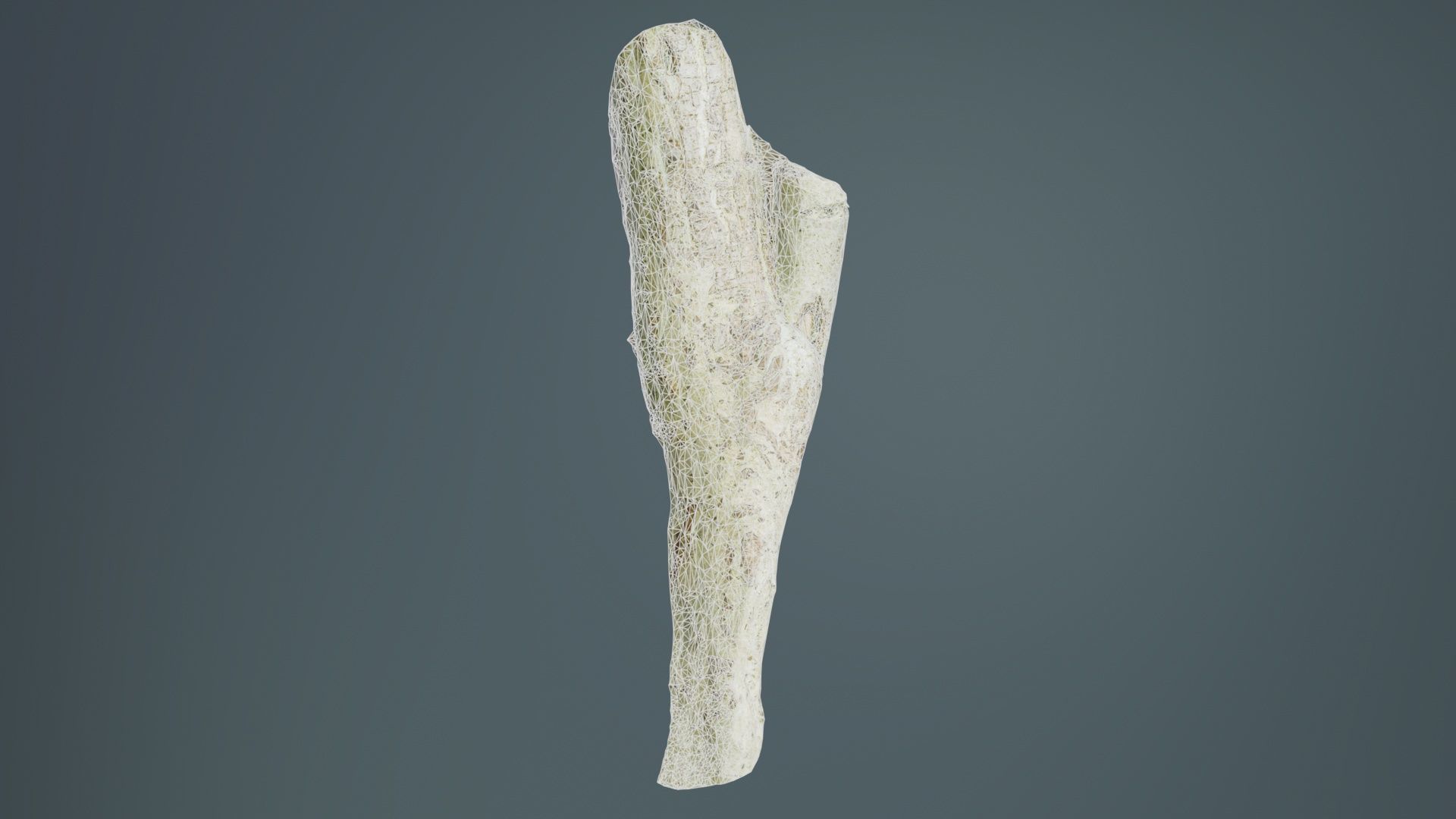 Small Branch Low-poly 3D model_9