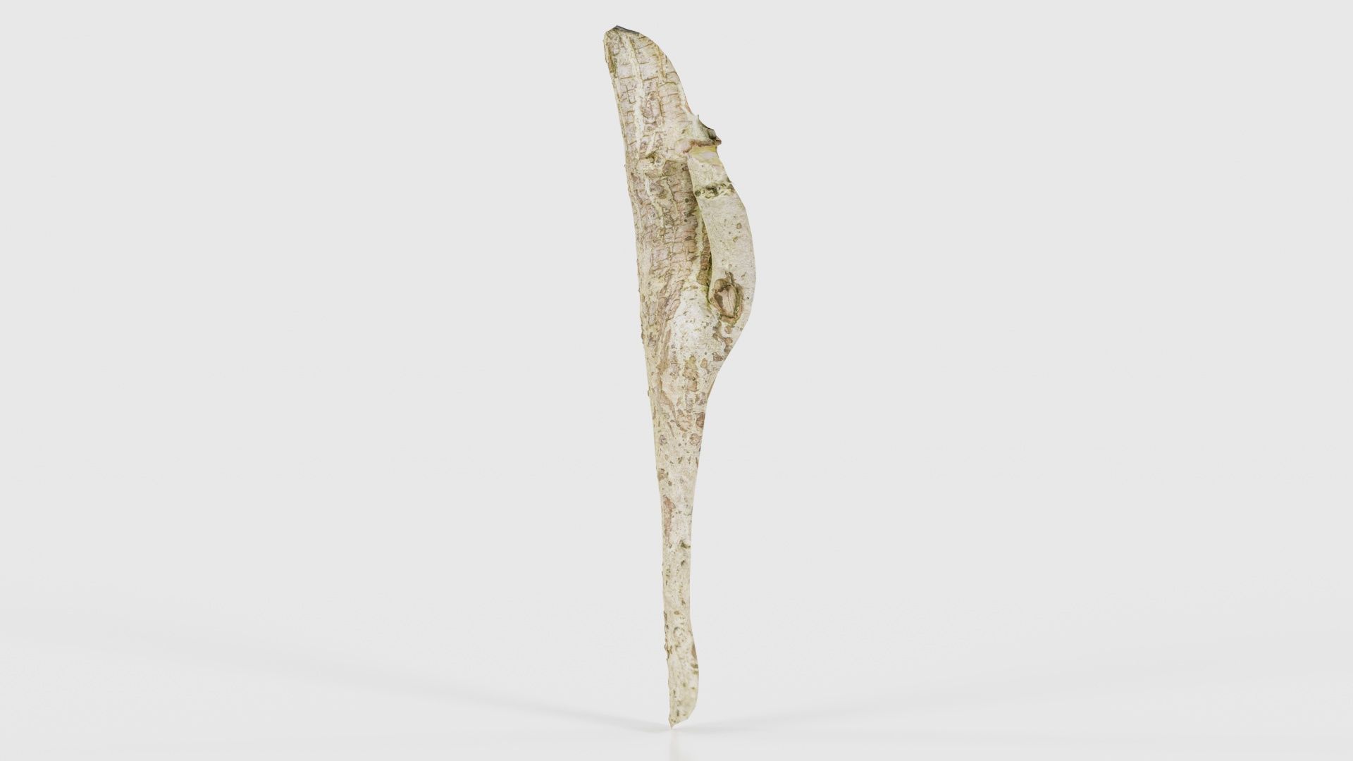 Small Branch Low-poly 3D model_25