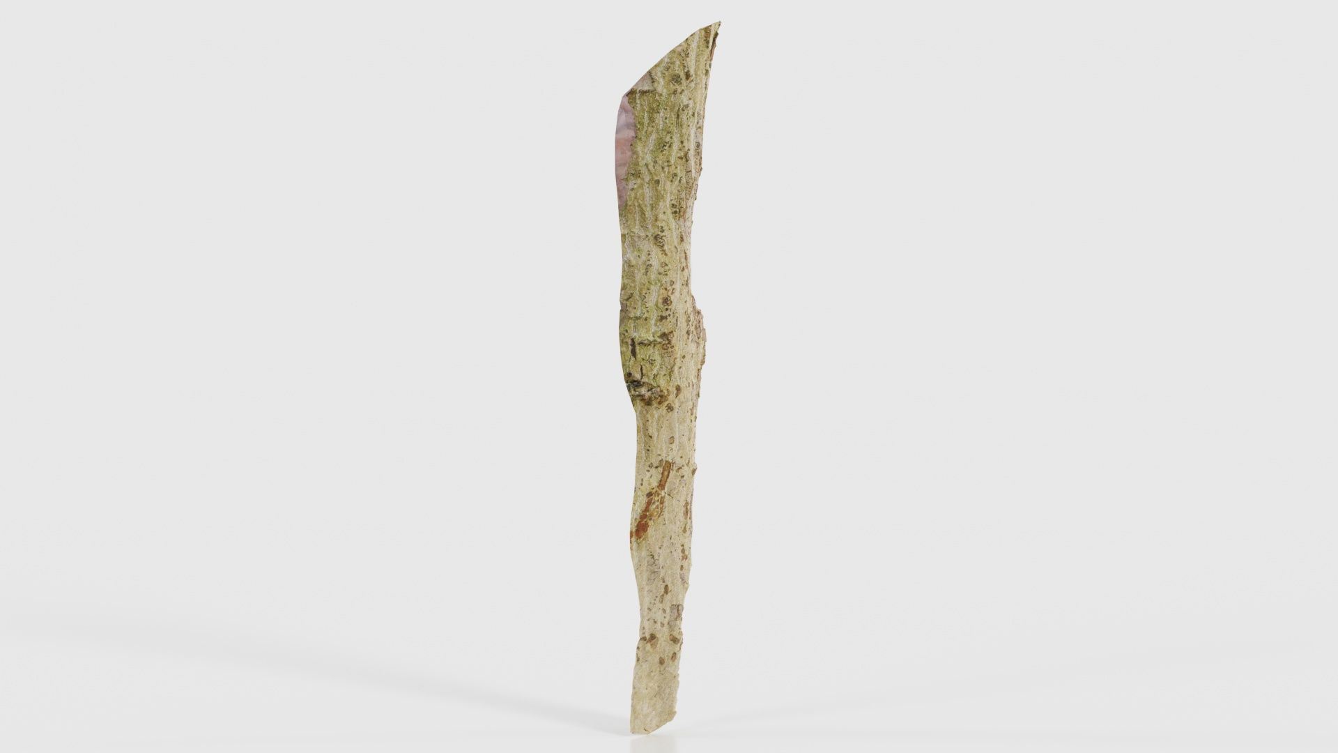 Small Branch Low-poly 3D model_18