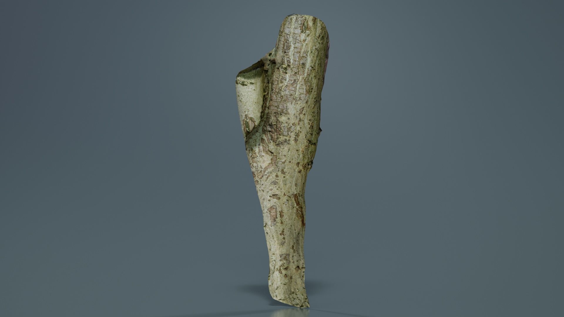 Small Branch Low-poly 3D model_5