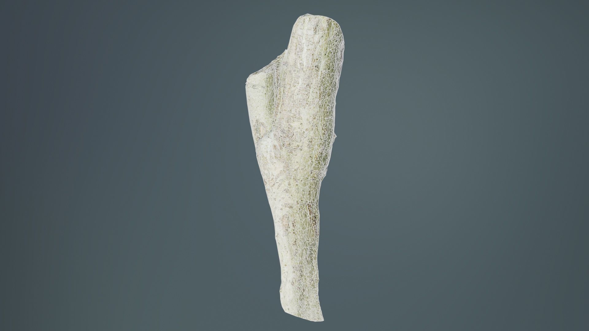 Small Branch Low-poly 3D model_10