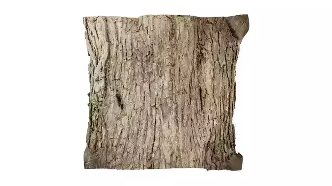 Tree Bark Chunk