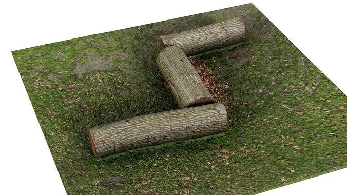 Tree Trunks Low-poly 3D model