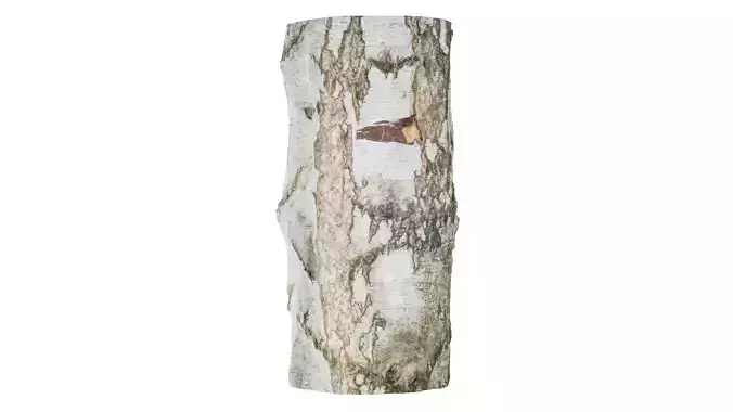 White Bark Low-poly 3D model