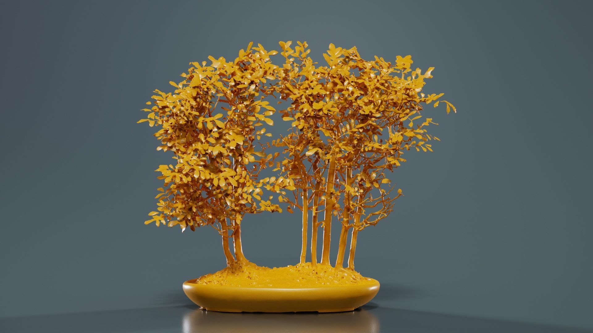 Chines Elm Bonsai Forest Low-poly 3D model_12