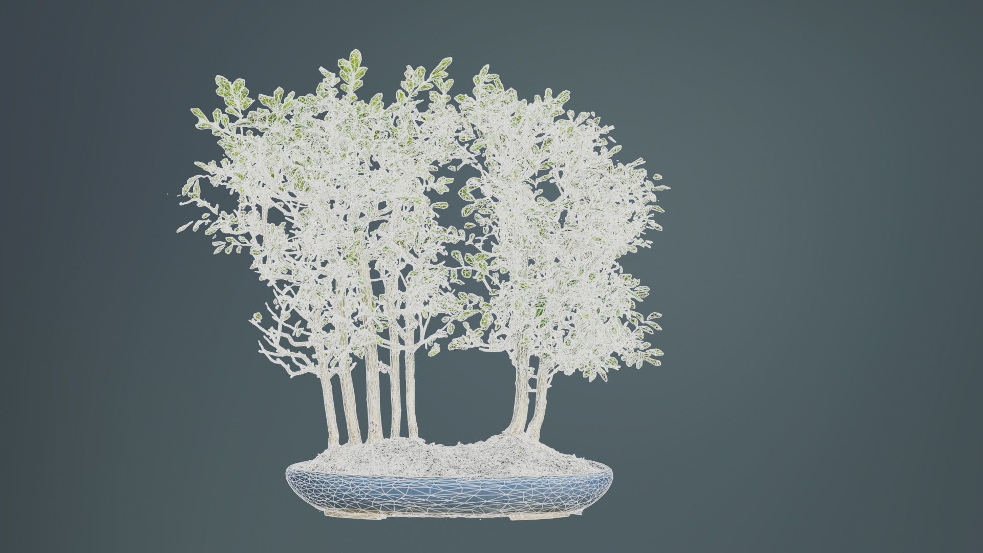 Chines Elm Bonsai Forest Low-poly 3D model_10