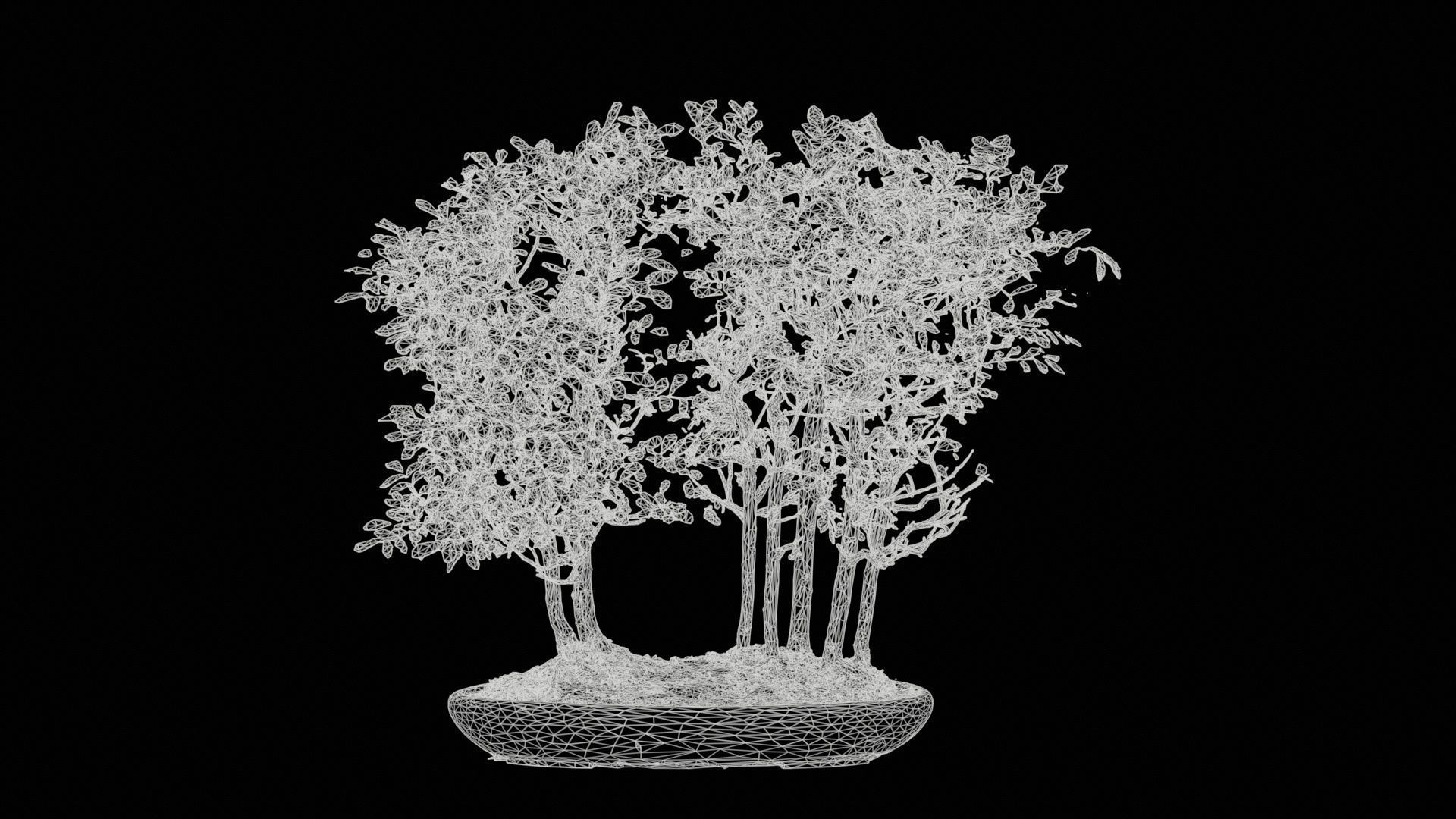 Chines Elm Bonsai Forest Low-poly 3D model_11
