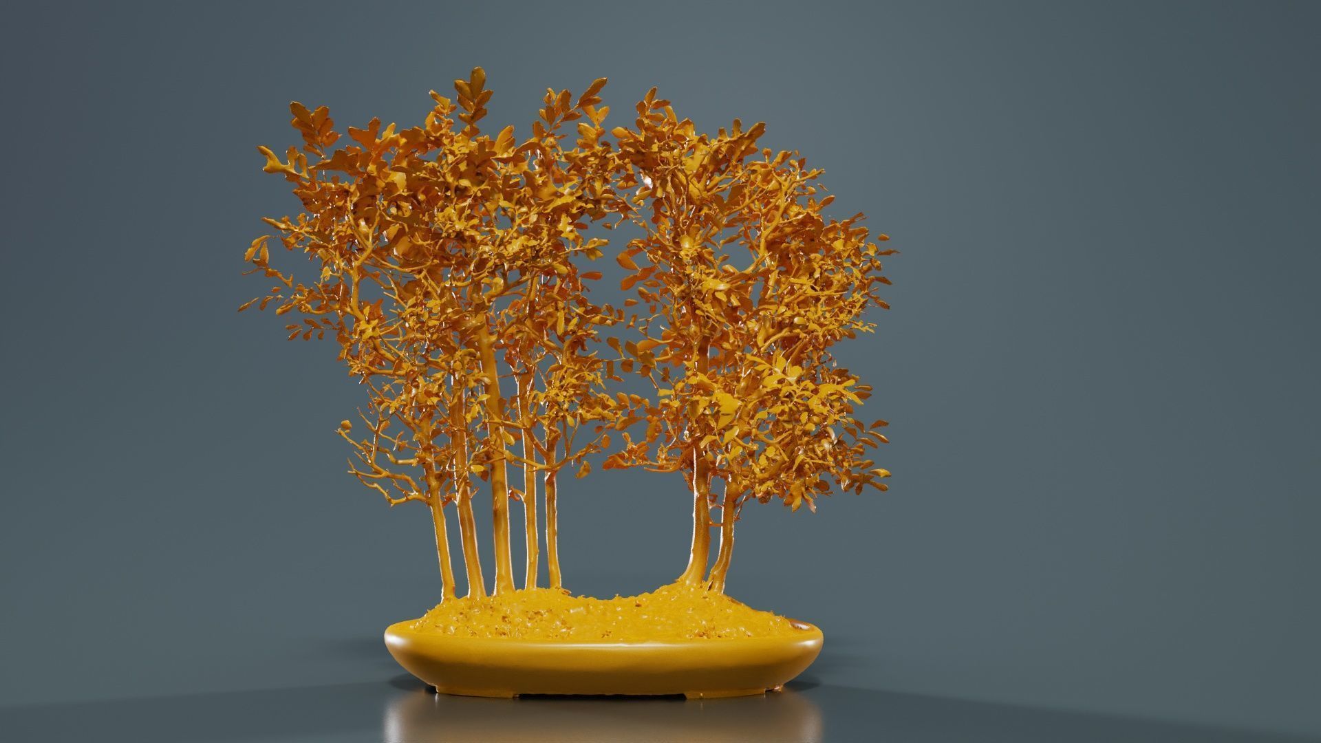 Chines Elm Bonsai Forest Low-poly 3D model_13