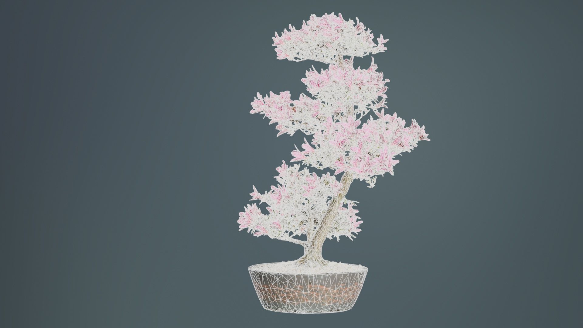 Satsuki Azalea Large Cluster Red Rhododendron Indicum Bonsai ... Low-poly 3D model_10