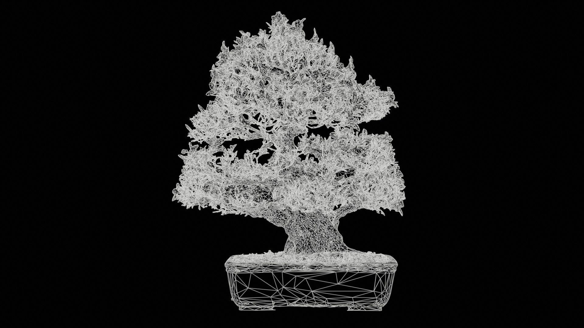 Satsuki Azalea Large Pink Rhododendron Indicum Bonsai Tree Low-poly 3D model_11