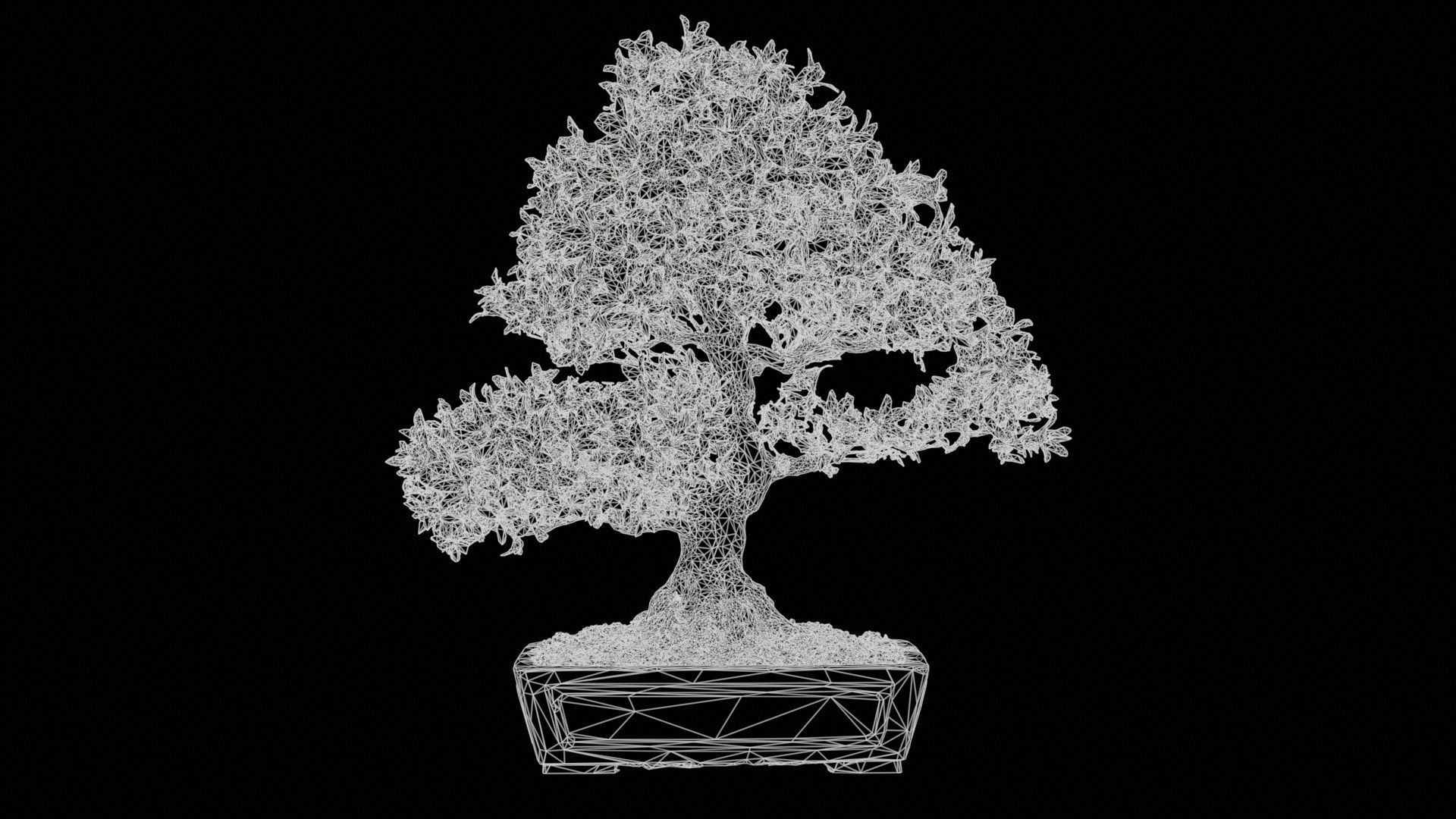 Satsuki Azalea Large Red Pink Rhododendron Indicum Bonsai Tree Low-poly 3D model_11