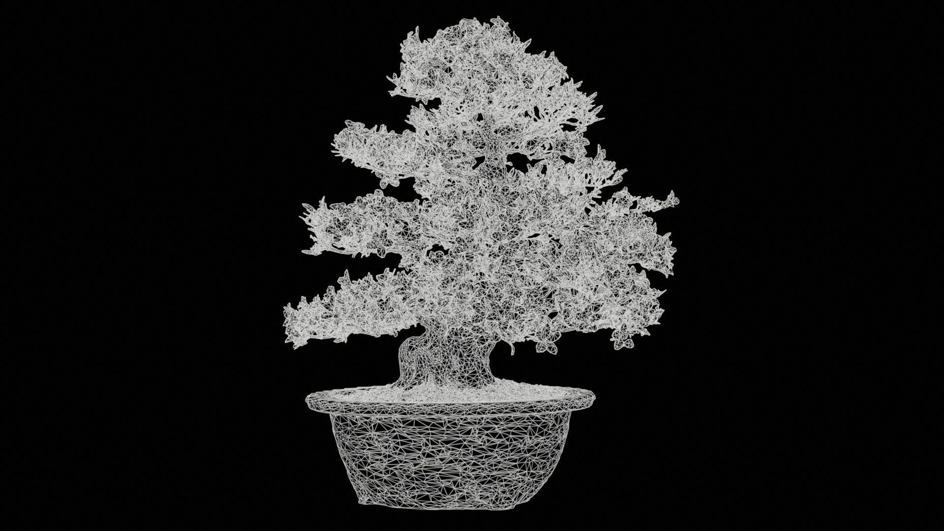 Satsuki Azalea Large Rhododendron Indicum Bonsai Tree Low-poly 3D model_11