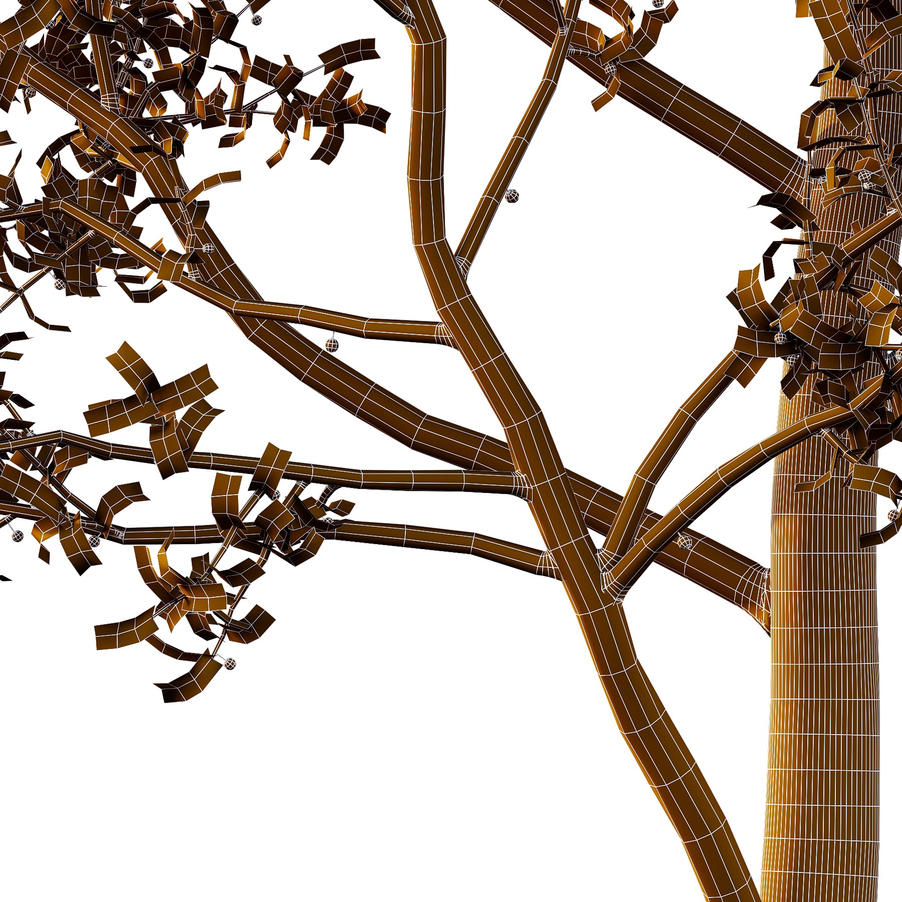 Ilex Mucronata Plant Mountain holly 01 2 trees 3D model_3