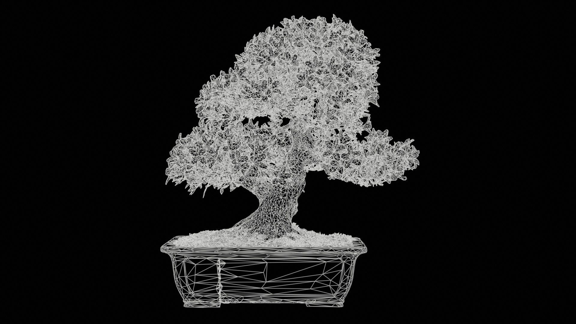 Satsuki Azalea Pink and White Rhododendron Indicum Bonsai Tree Low-poly 3D model_11