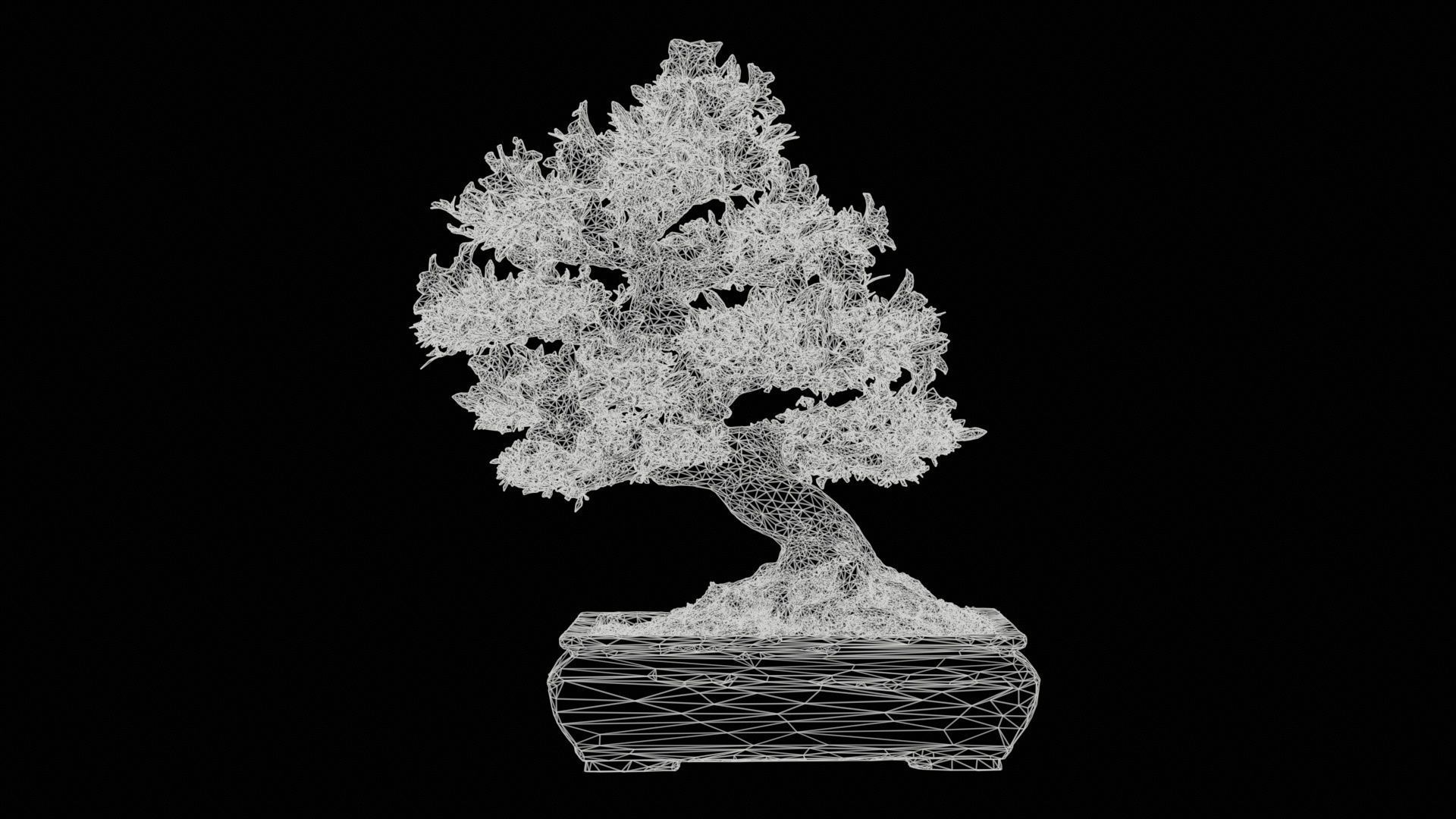 Satsuki Azalea Small Pink Rhododendron Indicum Bonsai Tree Low-poly 3D model_11