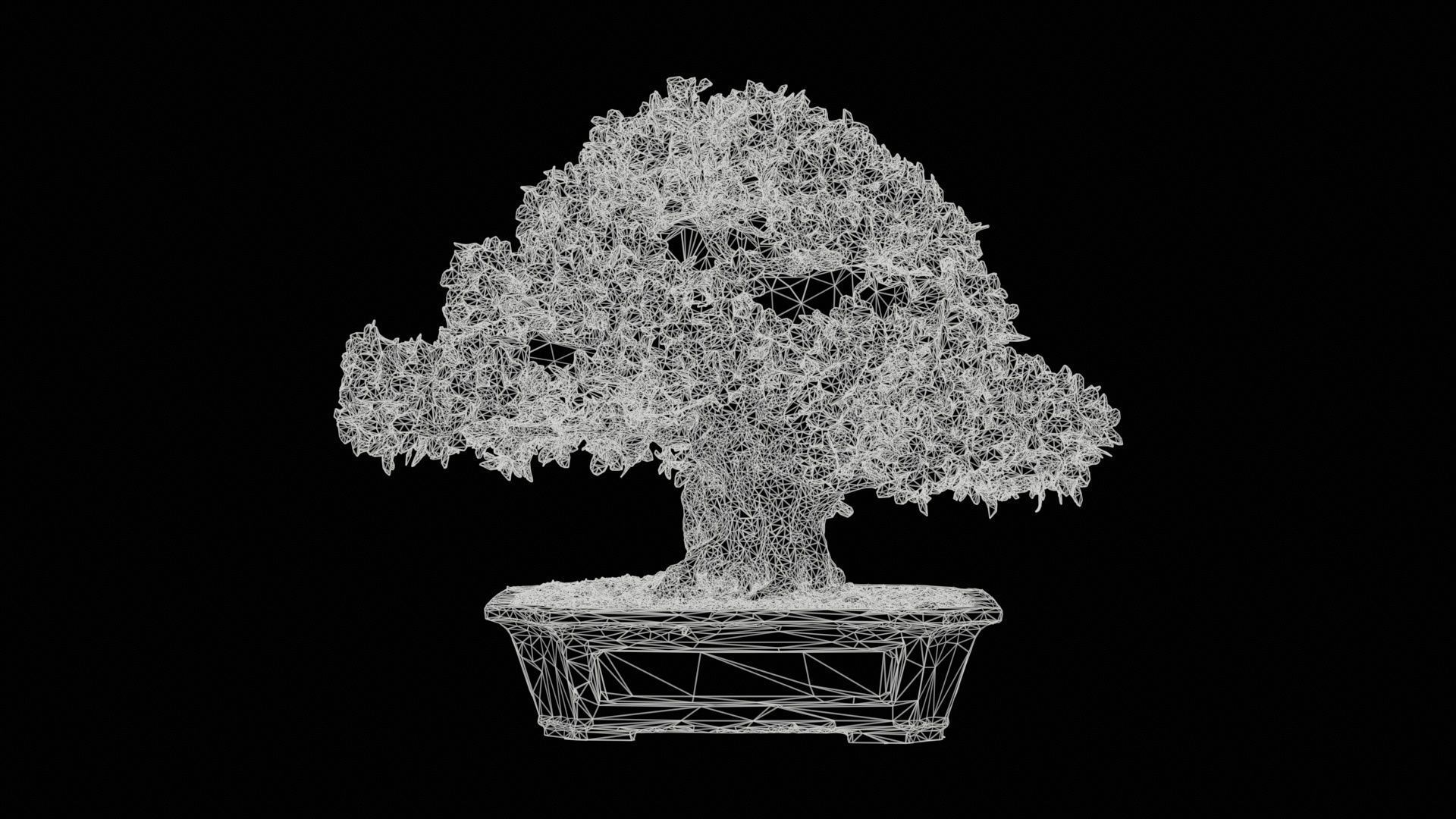 Satsuki Azalea Wide Light Pink Rhododendron Indicum Bonsai Tree Low-poly 3D model_11