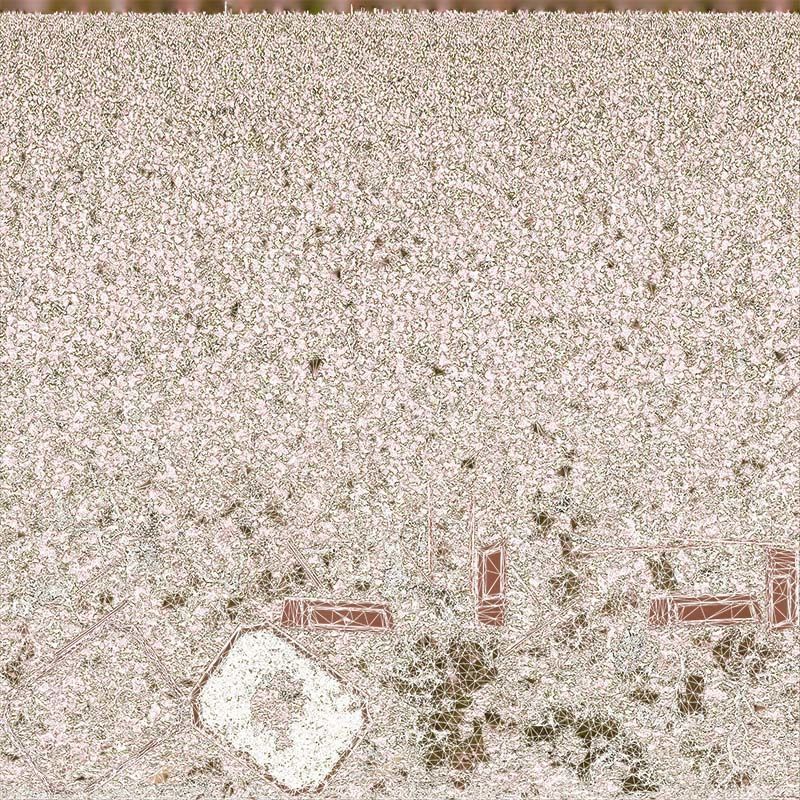 Satsuki Azalea Wide Light Pink Rhododendron Indicum Bonsai Tree Low-poly 3D model_14