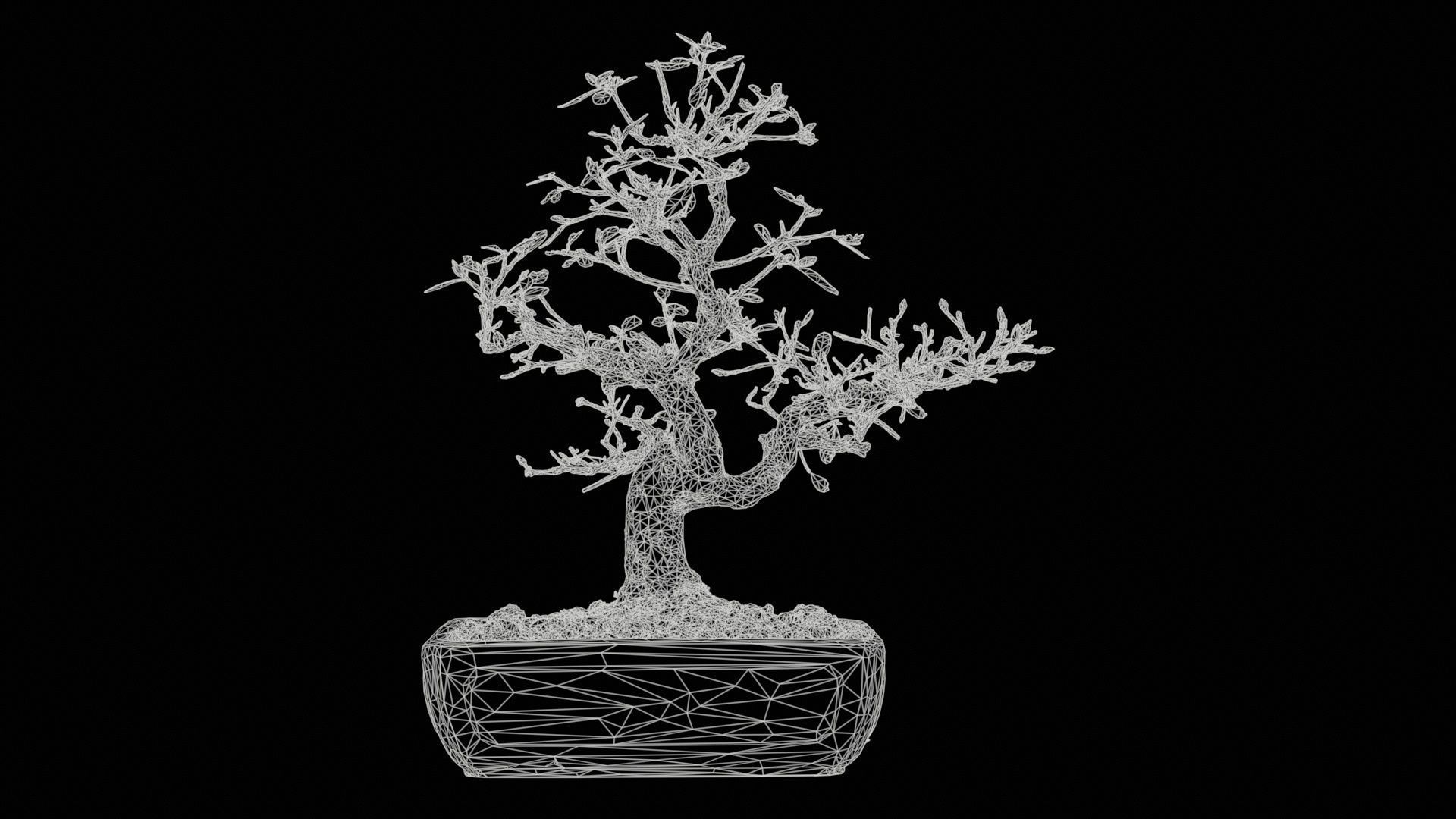 Carmona Bonsai Tree Branches Carmonas Carmona Microphylla Low-poly 3D model_11