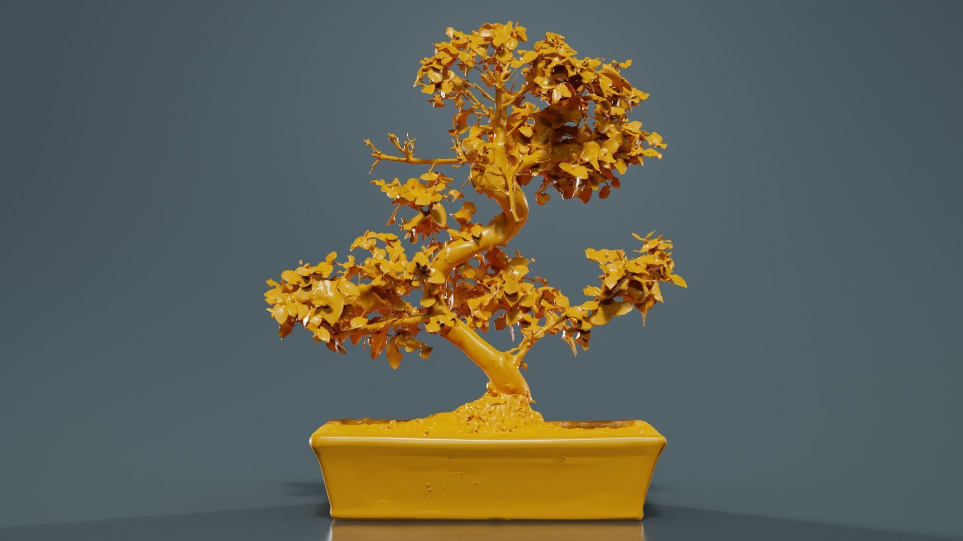 Carmona Bonsai Tree Carmonas Carmona Microphylla Low-poly 3D model_12
