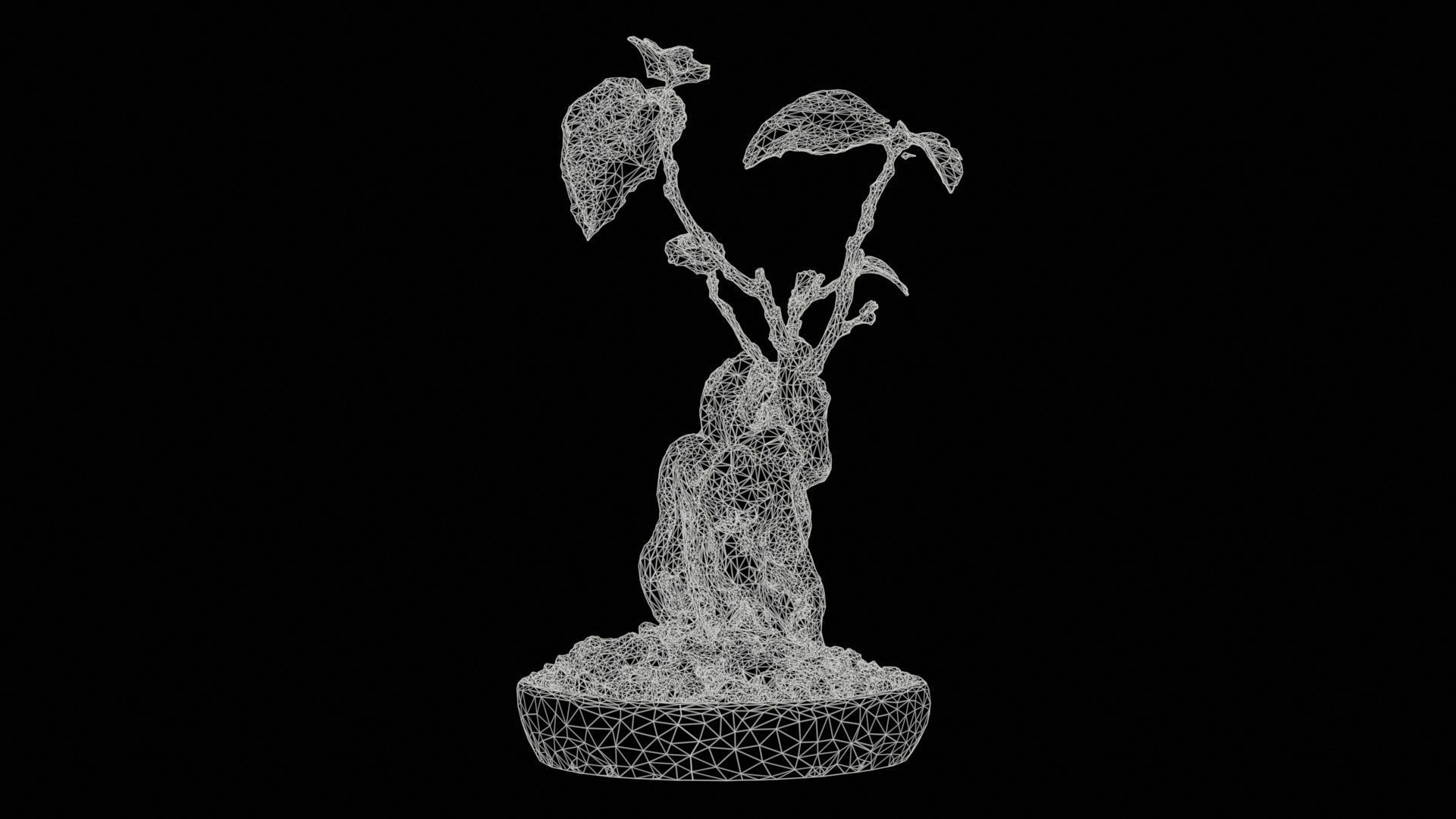 Ficus Carica Bonsai Tree Low-poly 3D model_11