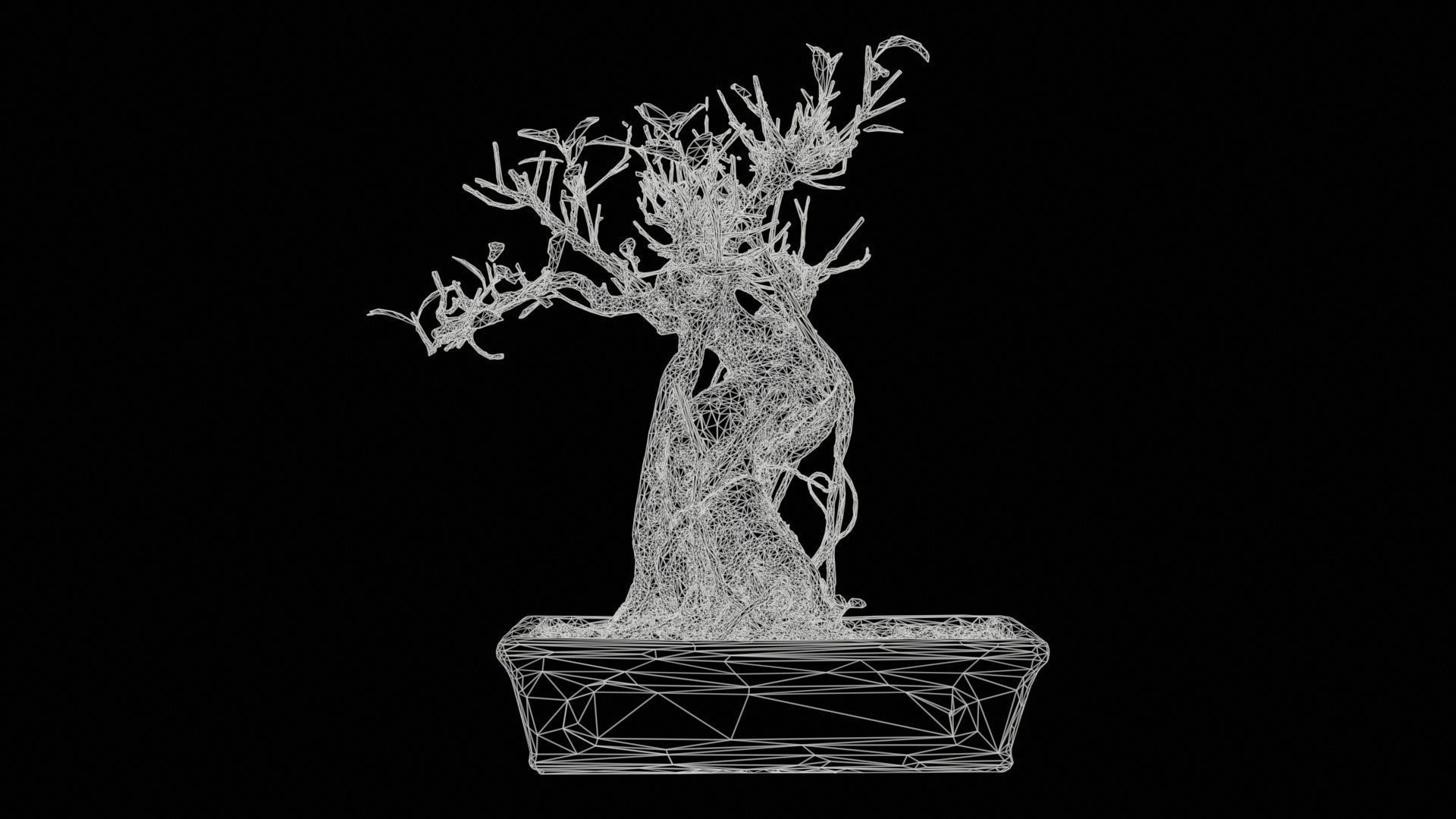 Ficus Retusa Bonsai Tree Low-poly 3D model_11