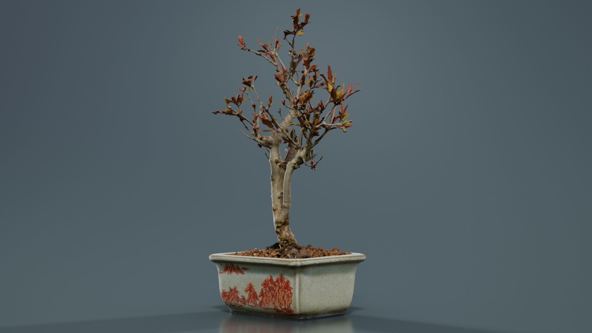 Punica Granatum Bonsai Tree Low-poly 3D model_8