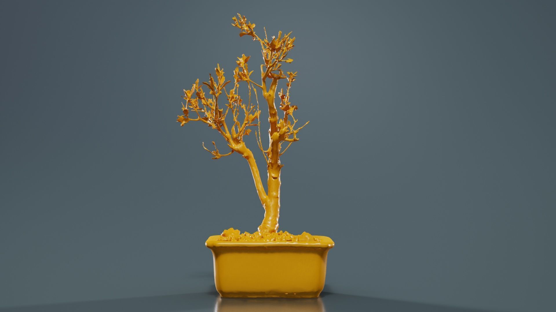 Punica Granatum Bonsai Tree Low-poly 3D model_13