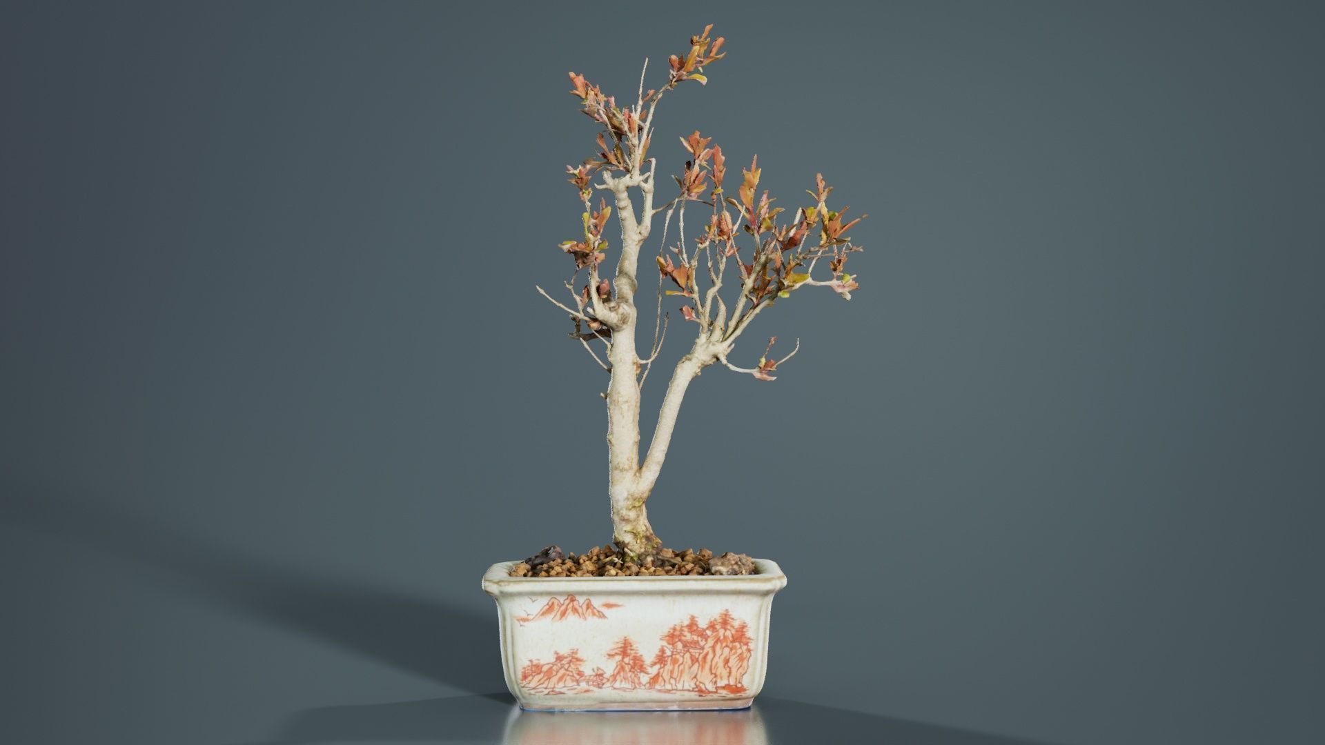 Punica Granatum Bonsai Tree Low-poly 3D model_5