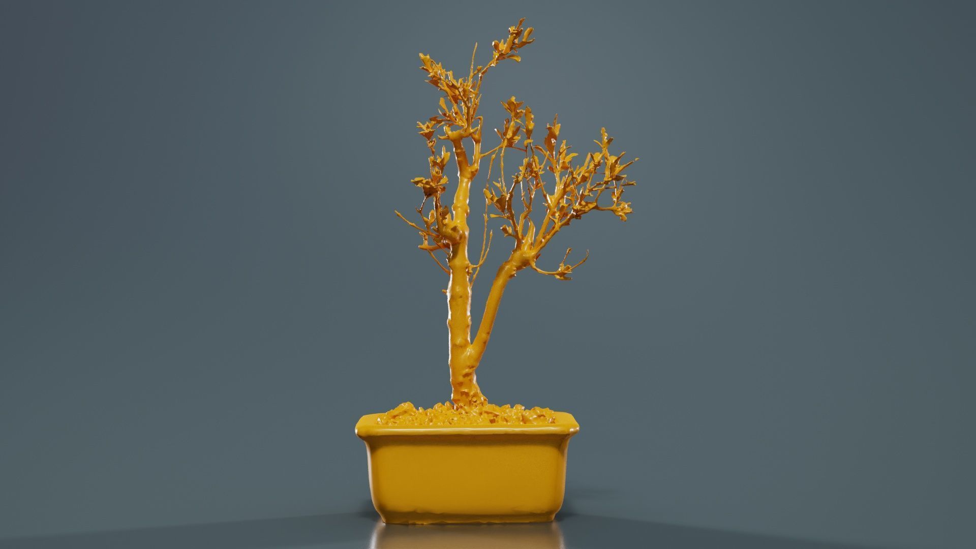 Punica Granatum Bonsai Tree Low-poly 3D model_12