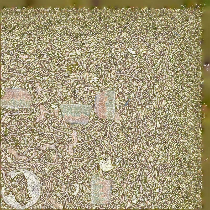 Satsuki Azalea Young Bonsai Tree Low-poly 3D model_14