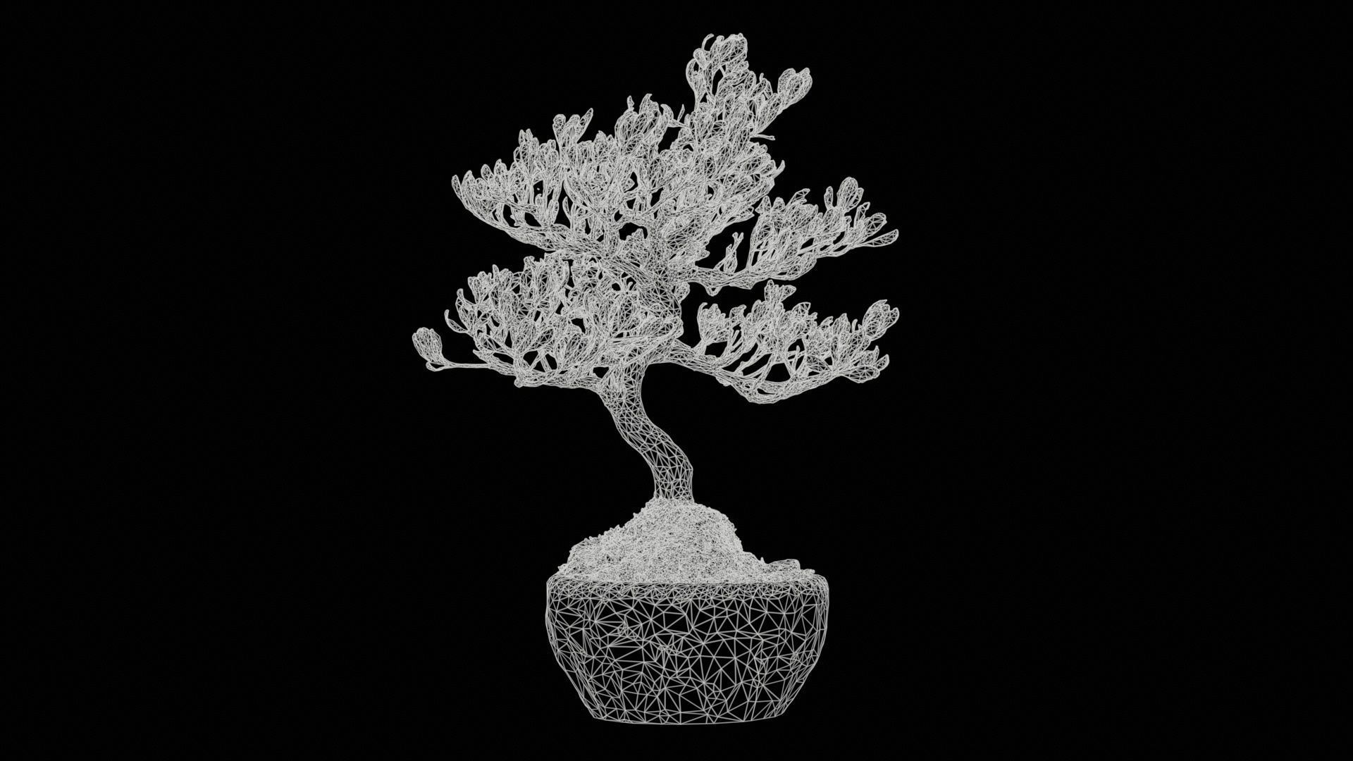 Satsuki Azalea Young Bonsai Tree Low-poly 3D model_11