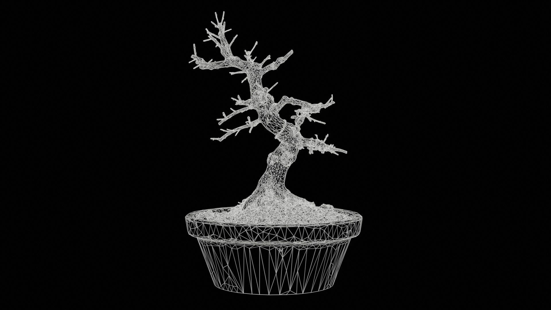 Satsuki Hi No Maru Bonsai Tree Low-poly 3D model_11